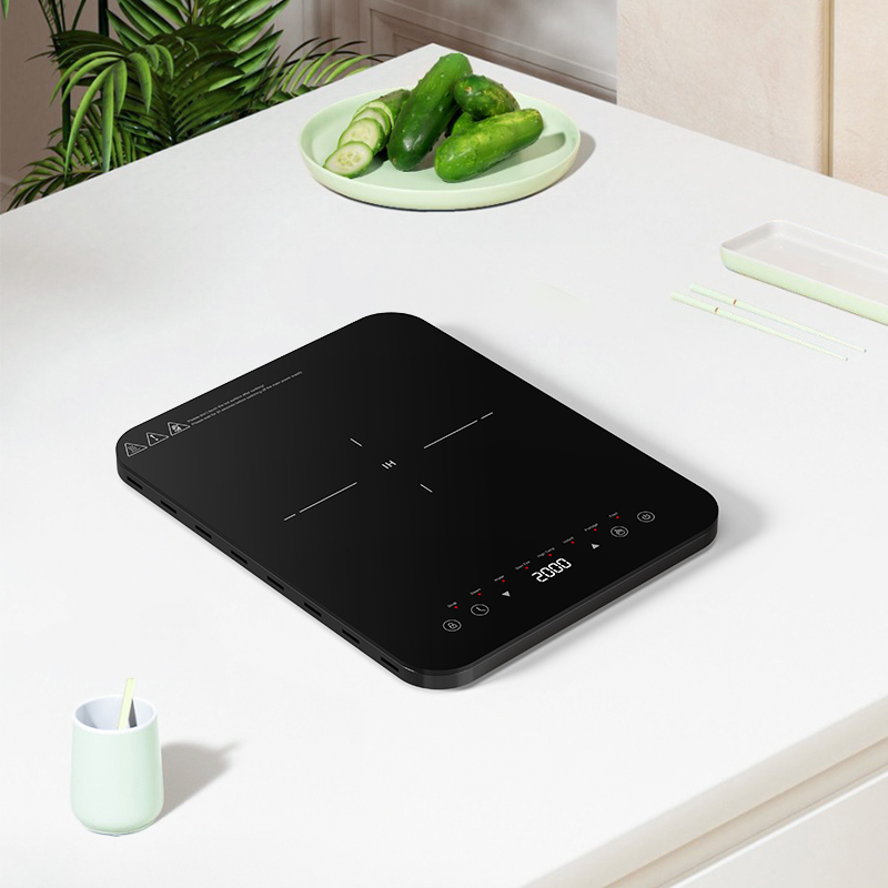 Zone di cottura a induzione co - Hot Pot Portable Dual recensione e prezzo