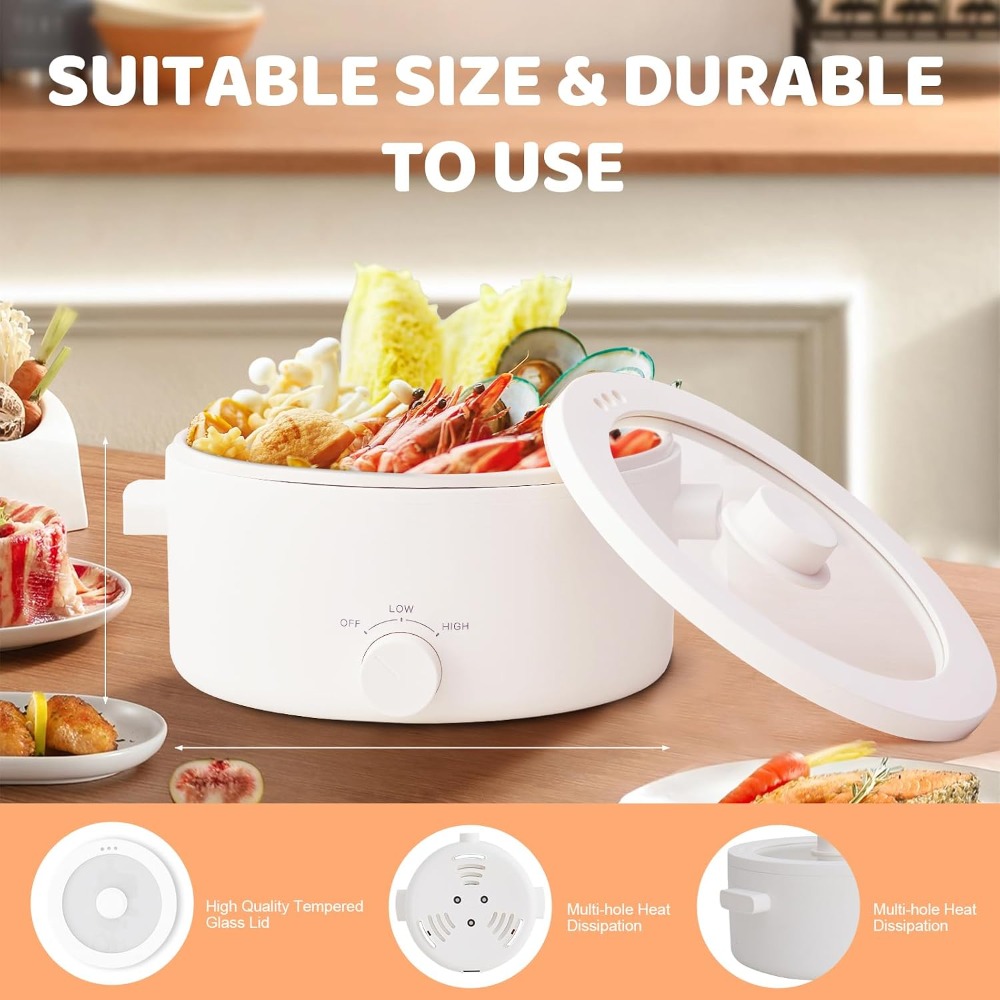 Pentola elettrica, pentola por - Hot Pot Portable Dual recensione e prezzo