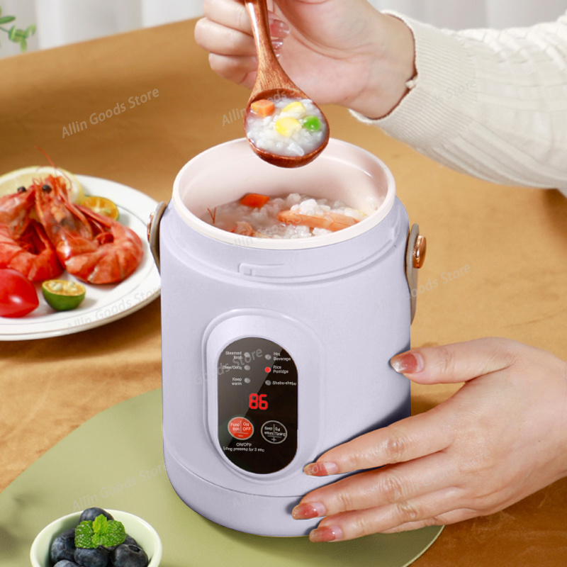 Fornello Elettrico Portatile M - Hot Pot Portable Dual recensione e prezzo